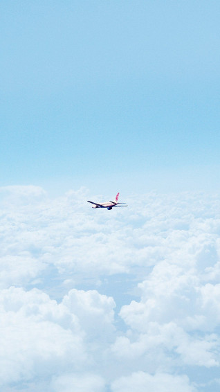 Plane iPhone X Wallpaper