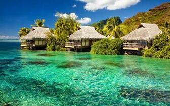 Miami Florida Nature Wallpaper Desktop