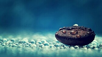 Coffee Bean HD Wallpaper FullHDwpp Full