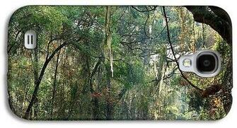 Murrells Inlet Rain Forrest Galaxy S4 Case