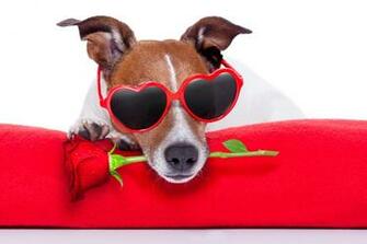 Happy Early Valentine S Day A Special Of Telling Those