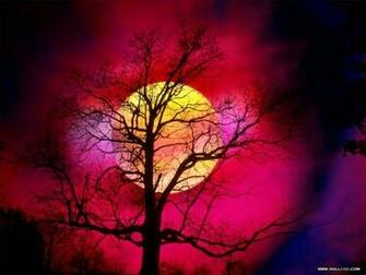 Beautiful Sunsets And Sunrises Wallpaper
