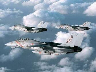 Tomcat Prints Buy A Poster