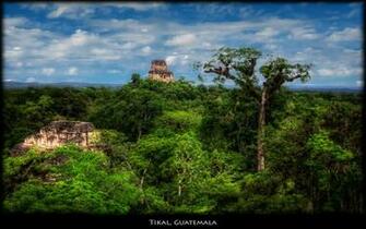 Tikal Guatemala Wallpaper