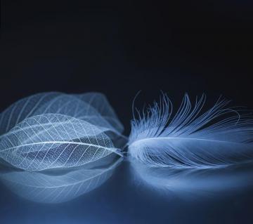 Zte Axon M Stock Wallpaper FHD Droids
