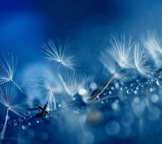 Image From All Built In Htc One M8 Wallpaper Leak Cute Rain