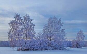 Definition Wallpaper Photo Snow Html