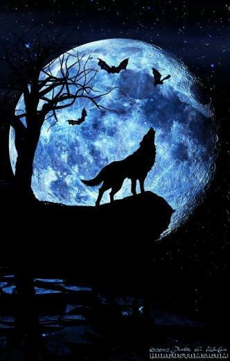 Lupo Sotto La Luna Blu Arte Dei Lupi Disegni Con Disegno