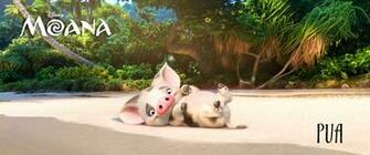 Moana HD Wallpaper Background Image Id
