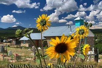 Although Partially Obscured By Blooming Sunflowers The Simple Beauty