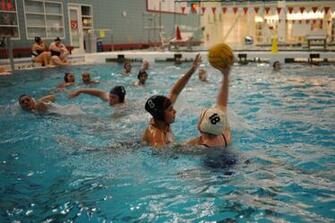 Water Polo Wallpaper Image Photos Pictures Background