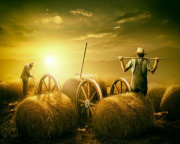 Best Farmer Desktop Background Beautiful