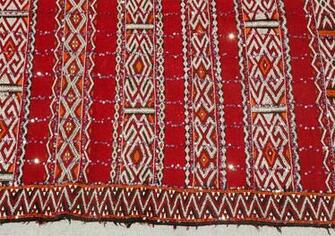 Pictures Henna Tattoo Tribal Airbrush Nail