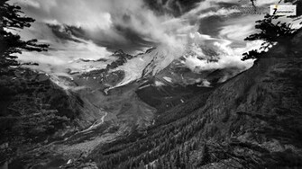 Black And White Nature Wallpaper Photo Of Phombo