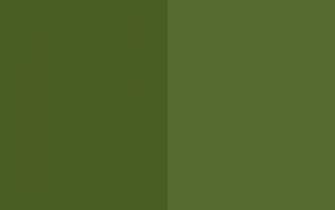 Dark Moss Green Olive Two Color Background Jpg