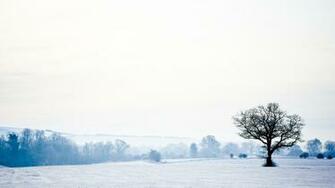 Winter Landscape Wallpaper High Definition Quality