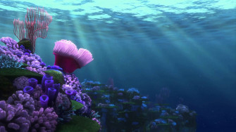 Finding Nemo Wallpaper On