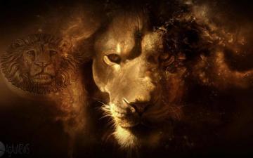 Allcollect Week Big Five Lion Impresses With Ultra High Relief
