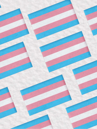 Show Your Pride And Support To The Transgender Community With Wallpaper