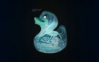 Ray Xray Rubber Ducks Wallpaper