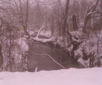 Winter In Virginia Wallpaper