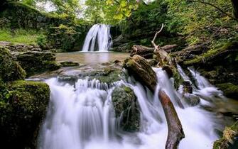 Forest Waterfall Wallpaper Px