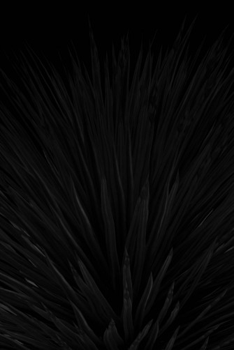 Black Aesthetic iPhone Wallpaper
