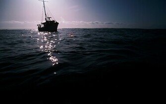 Deep Blue Sea Wallpaper And Image Pictures Photos