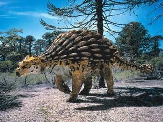 Jungle Dinosaur Ankylosaurus HD Wallpaper
