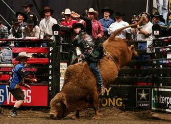 Pbr Image Search Results