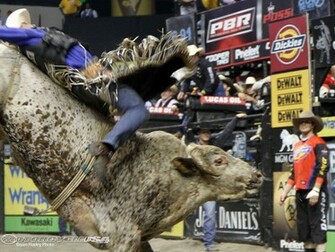 Kawasaki Cowboys Up At Pbr Jd Invitational Picture Of