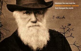 Beard HD Wallpaper Background Image Id