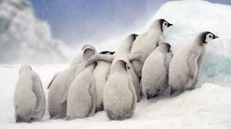 Incredible Nature Photos From The Sony World Photography Awards