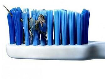 Send To Mobile Phone Dinosaur A Toothbrush Funny Wallpaper Num