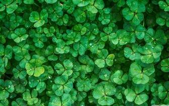 Happy St Patrick S Day 4k HD Desktop Wallpaper For