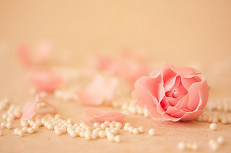 Wallpaper Rose Cute By Fatuu