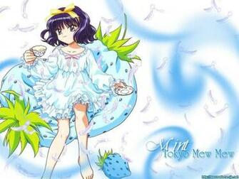 Minto Tea Time Tokyo Mew Wallpaper