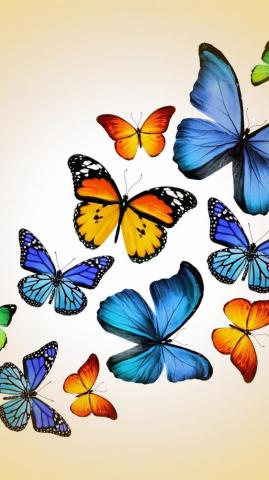 Cute Butterfly Android Wallpaper