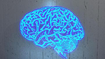 Brain Training Games Don T Boost Iq Here S What Does Vox