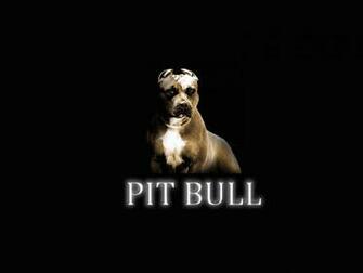 Pit Bull