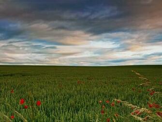 Photo A Field Along The East Coast Of Scotland