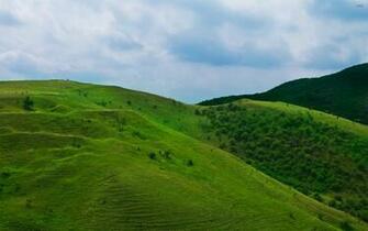 Green Hill Wallpaper Nature