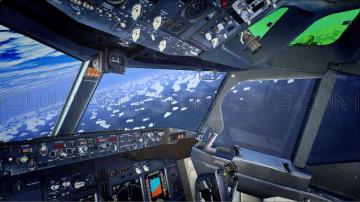 Cockpit Angel Wings B737