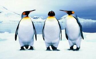 Penguins Wallpaper 3d And Abstract Better