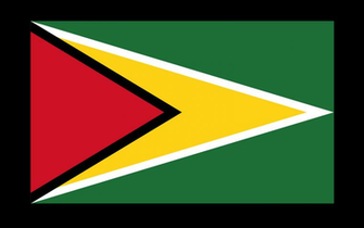 World Flags Guyana Flag HD Wallpaper