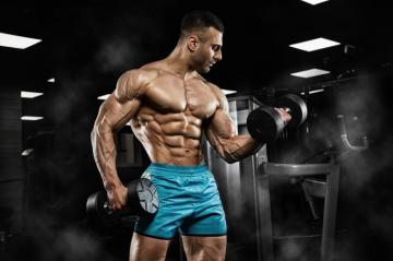 Muscle HD Wallpaper And Background