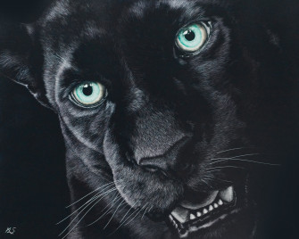 Jaguars Wallpaper