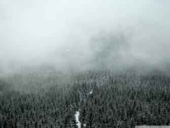 Mist 4k HD Desktop Wallpaper For Ultra Tv Wide