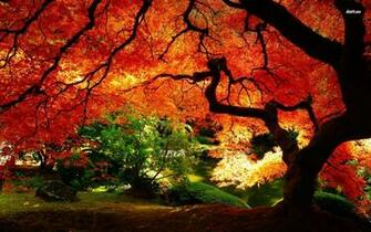 Autumn Landscape Wallpaper Nature