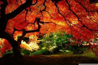 Beautiful Autumn 4k HD Desktop Wallpaper For Dual Monitor